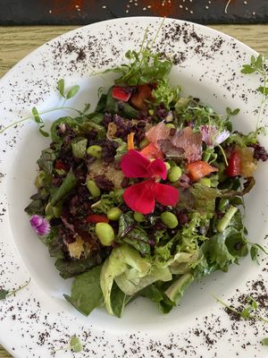 ensalada con arroz negro  at Naked in San Luis Potosi