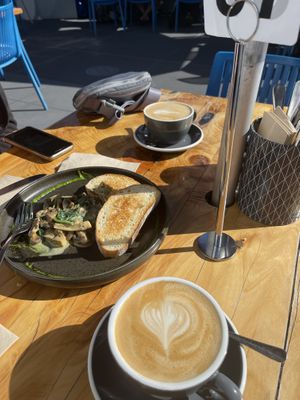   at Cafe Encounter in Kaikoura