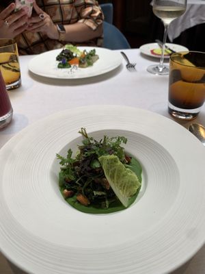 Mushrooms with pea purée  at Pied a Terre in London