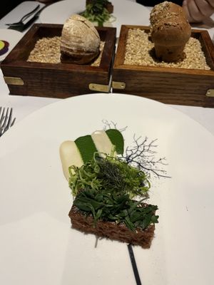   at Pied a Terre in London