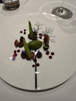   at Pied a Terre in London