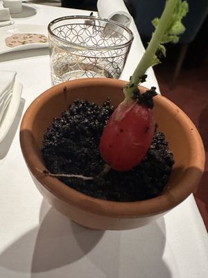   at Pied a Terre in London