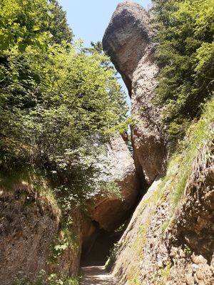 Natural tunnel ("Felsentor") at Stiftung Felsentor Café  in Weggis