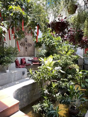 Ambience  at Shamballa Vegetarian Restaurant Lounge & Cafe in Ho Chi Minh City