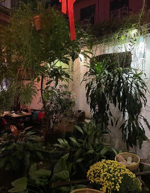 Lots of plants inside  at Shamballa Vegetarian Restaurant Lounge & Cafe in Ho Chi Minh City