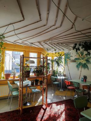  at Honolulu Wise Food in Gdynia