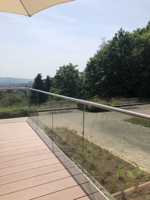 View from their terrace  at Bellevue in Stuttgart