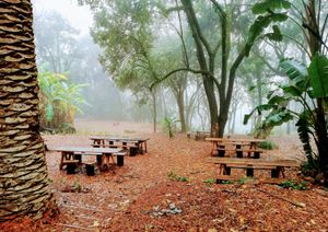 picnic tables outside Magoebaskloof Farmstall at Magoebaskloof Farmstall and Cafe in Tzaneen