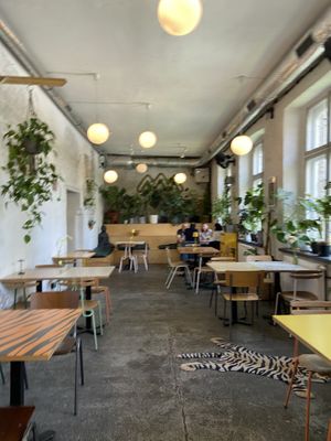   at ŁĄKA BAR in Gdansk