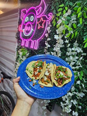 Taquitos al pastor at El Monchis Vegano in Mexico City