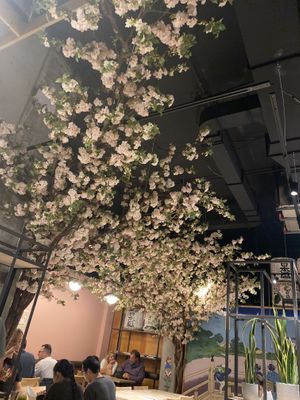   at Tsukiyomi Ramen in Montreal