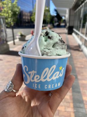 Vegan grasshopper at Stella's Ice Cream - N 8th St in Boise