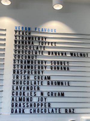 Vegan menu! at Stella's Ice Cream - N 8th St in Boise