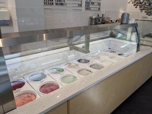 These are all of the vegan options. at Stella's Ice Cream - N 8th St in Boise