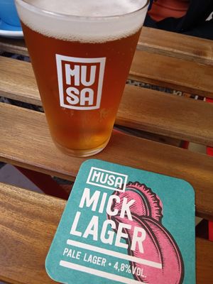 Beer Musa at BOP Café in Porto