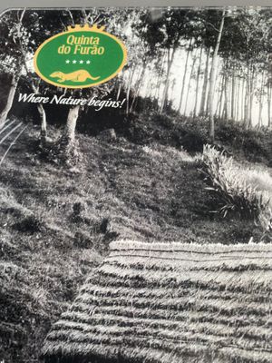 Didn’t see ferrets   at Quinta Do Furão in Santana