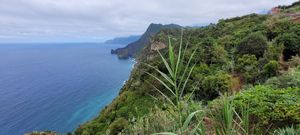  at Quinta Do Furão in Santana