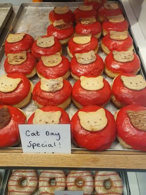 🐱 at Brammibal's Donuts - Alexanderplatz in Berlin