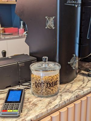 Dog treats at Brammibal's Donuts - Alexanderplatz in Berlin