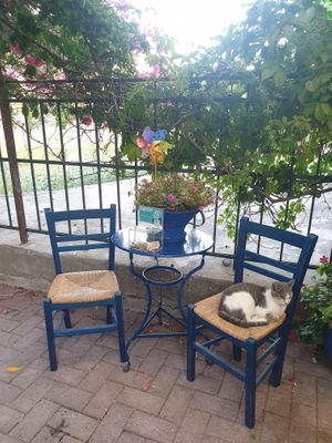 Cosy decor at Mom's Kitchen in Kos