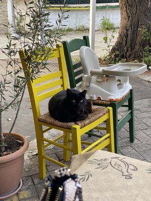   at Mom's Kitchen in Kos