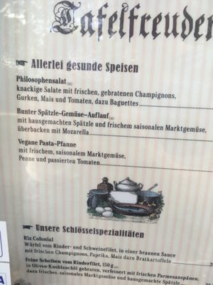 Pasta dish vegan at Schwanenschlößchen in Freiberg