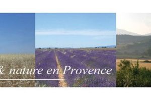 La Vudèle Quinson yoga at La Vudele - Organic Provence in Quinson