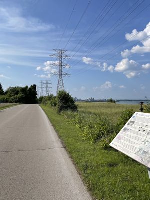 Right off bike trail  at Lettuce Love Cafe in Burlington