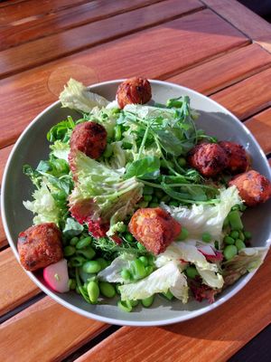 Pea salad with different types of peas, lettuce, radish, and falafel. at Lilleheden in Hirtshals