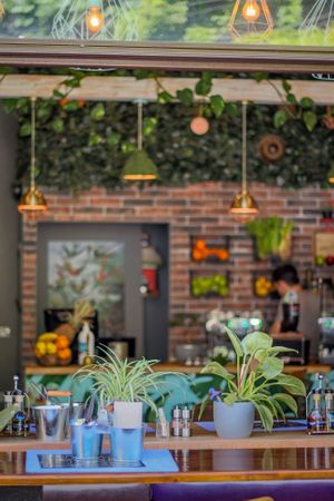 Bistro at Nom Nom in Constanta