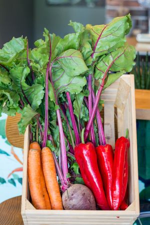 Fresh at Nom Nom in Constanta