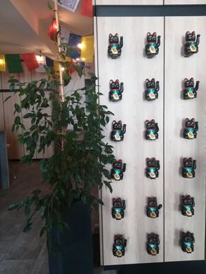  at Foodstock in Zilina