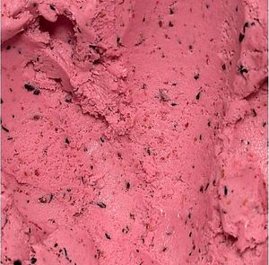 Very Berry Sorbet (Vegan, Gluten Free) at Chicago Mike's Ice Cream in Highwood