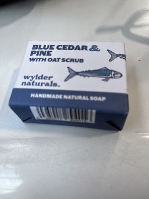   at Kindly of Brighton in Hove