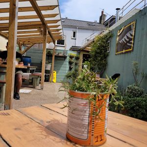 Lovely garden in the back at The Larder in Brixham