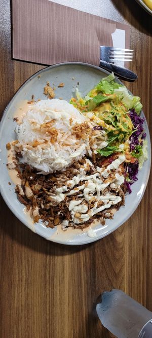 Planted Kebab Teller mit Reis at Mados Kebap in Uster