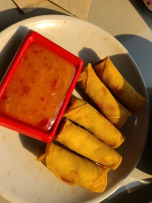 I think next time I will order something else. Spring rolls were small tiny size. Crispy but disappointingly lack vegetable fillings.  at Nan's Noodle House in Calgary