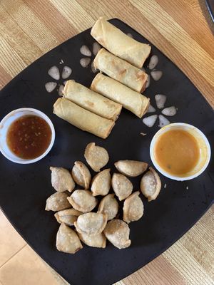 Larb Dumplings and Spring Rolls at Nan's Noodle House in Calgary