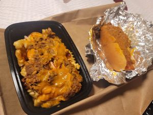 Brisket fries and carrot coney dog at Veg-n in Okemos