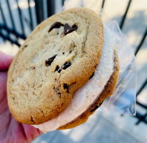 Froatzen Ice Cream Cookie Sandwich - Chocolate chip. Snickerdoodle, Coconut Brown Sugar, and Oatmeal Raisin also available.  at Veg-n in Okemos
