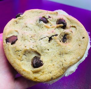 Ice-Cream Cookie Sandwich at Veg-n in Okemos
