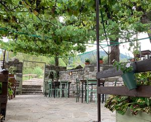 The terrace beneath the vines at  Pineapple Papingo - Κουκουνάρι Πάπιγκο in Papingo