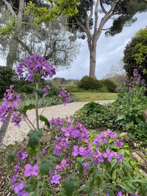   at Fattoria San Martino in Montepulciano