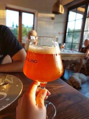  at Fattoria San Martino in Montepulciano