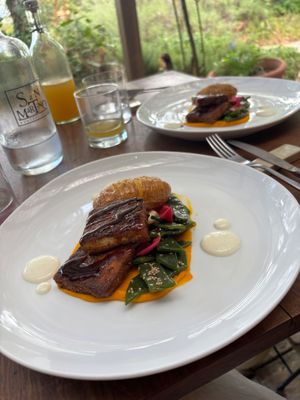  at Fattoria San Martino in Montepulciano