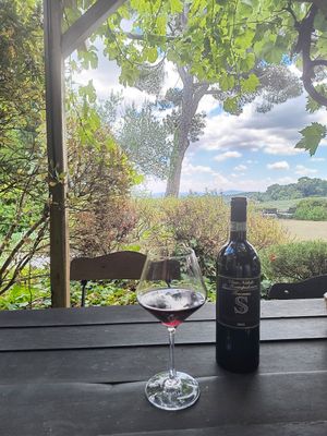 Good wine choice at Fattoria San Martino in Montepulciano