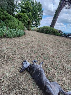 Lovely welcome at Fattoria San Martino in Montepulciano