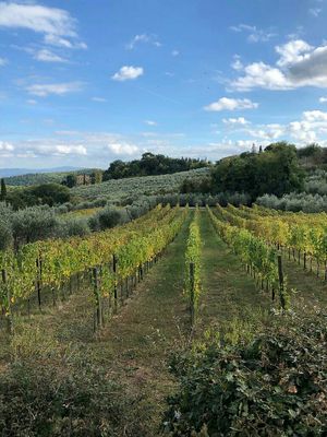 ❤ at Fattoria San Martino in Montepulciano
