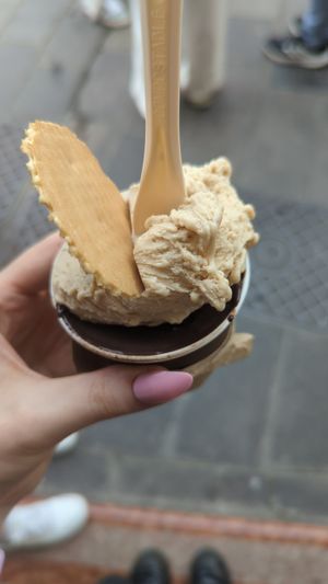 dark chocolate and hazelnut 😋 at Il Gelato Dei Masters in Desenzano Del Garda