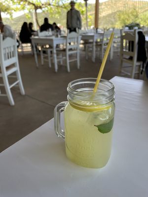 Lemonade - Botanical Garden of Crete Restaurant  at Botanical Garden of Crete Restaurant in Crete
